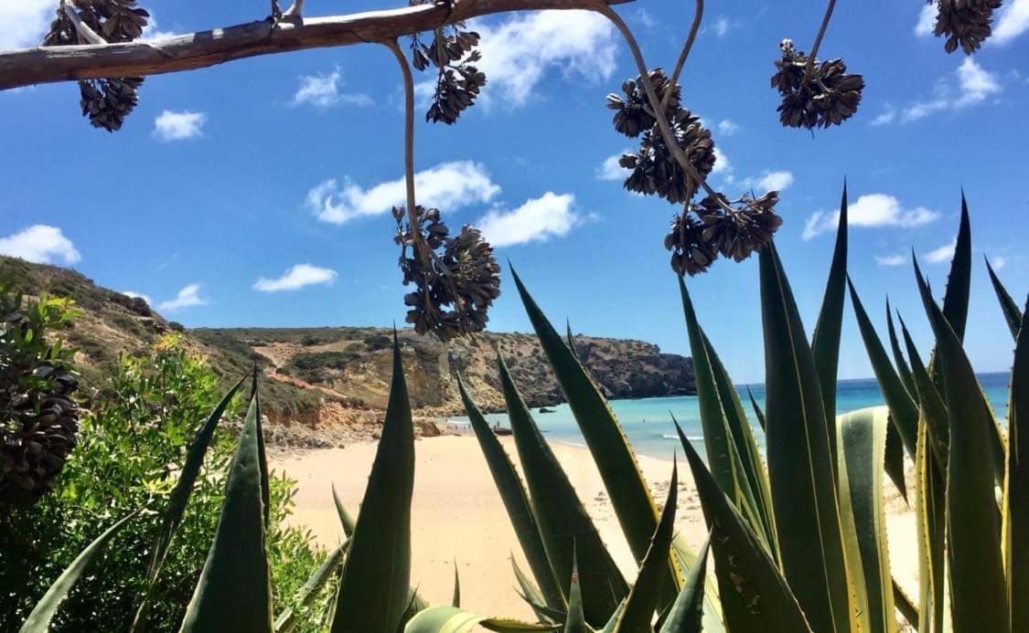 Ver-o-mar * Carvoeiro (Lagoa)