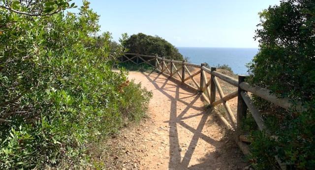 Ver-o-mar * Carvoeiro (Lagoa)